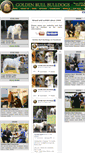Mobile Screenshot of bulldogs.hu